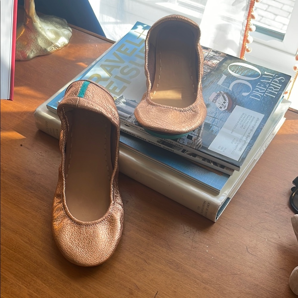 Elegant Copper Ballet Flats